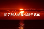 梦见别人给我小鸽子吃东西_梦见别人喂鸽子