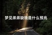 梦见弟弟缺钱是什么预兆,梦见弟弟很落魄