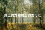 属土的龙和属土的龙可以婚配吗,土龙和什么属最合适