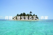 许姓女猪宝宝名字、许家娇宝，猪年萌动新生