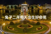 兔子二月哪天出生好命呢