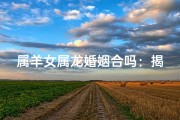 属羊女属龙婚姻合吗：揭秘爱情密码