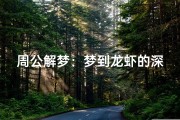 周公解梦：梦到龙虾的深层含义解析
