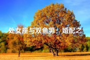 处女座与双鱼男：婚配之谜揭晓