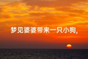 梦见婆婆带来一只小狗,梦见婆婆带着一个小女孩