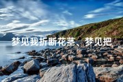 梦见我折断花茎、梦见把花折断