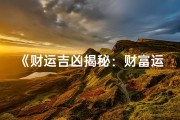 《财运吉凶揭秘：财富运势大解析》