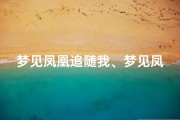 梦见凤凰追随我、梦见凤凰向我飞来