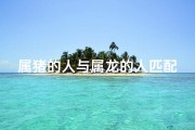 属猪的人与属龙的人匹配吗—属猪的与属龙的配不配
