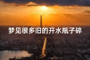 梦见很多旧的开水瓶子碎了—梦见很多旧的开水瓶子碎了一个