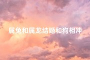 属兔和属龙结婚和狗相冲吗—属龙的人和兔和狗