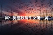 属牛男喜欢属牛女吗—属牛男与属龙女：情缘相吸的奇妙组合