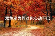 双鱼座为何对你心动不已？