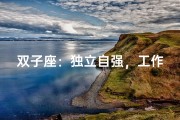 双子座：独立自强，工作全靠我