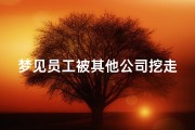 梦见员工被其他公司挖走_梦见自己的员工被别人挖走