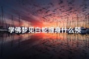 学佛梦见白蛇缠身什么预兆-学佛梦见白蛇缠身什么预兆解梦
