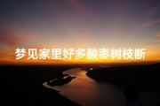 梦见家里好多酸枣树枝断了—梦见枣树树枝断了是怎么回事