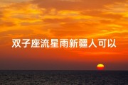 双子座流星雨新疆人可以看见吗、新疆人见证双子座流星雨：璀璨星空下的浪漫奇观