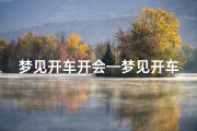 梦见开车开会—梦见开车会怎样