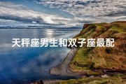 天秤座男生和双子座最配吗