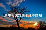 属牛和属龙属于几等婚姻,属牛的和属龙的婚姻合吗