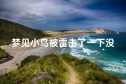 梦见小鸟被雷击了一下没死;梦见鸟被打落在地