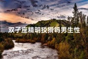 双子座精明狡猾吗男生性格-《双子精明男：狡猾背后的智慧人生》