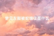 梦见左脚被蛇缠住是什么意思(做梦梦到左脚被蛇缠住了)