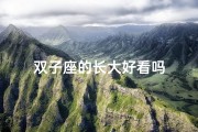 双子座的长大好看吗