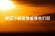 梦见小孩我偷着揍他们回家—梦见小孩我偷着揍他们回家什么意思