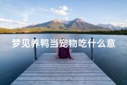 梦见养鸭当宠物吃什么意思_梦见养鸭子是怎么回事