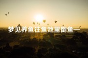 梦见养鱼往鱼池里倒鱼—梦见把鱼养在盆里