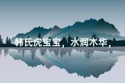 韩氏虎宝宝，水润木华，吉祥如意名