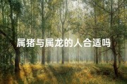 属猪与属龙的人合适吗