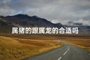 属猪的跟属龙的合适吗