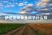 梦见亲弟弟盖房子什么预兆—梦见弟弟建房子是什么预兆
