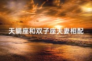 天蝎座和双子座夫妻相配吗
