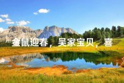金鼠迎春，吴家宝贝，喜庆诞生，福满人间