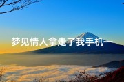 梦见情人拿走了我手机—梦见情人抢我手机看我微信