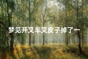 梦见开叉车叉皮子掉了一地-梦见叉车是什么征兆