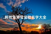 韩姓兔男宝宝取名字大全