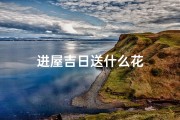 进屋吉日送什么花