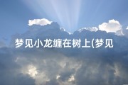 梦见小龙缠在树上(梦见龙在树上是什么意思)
