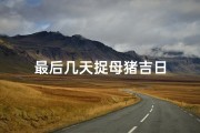 最后几天捉母猪吉日