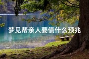 梦见帮亲人要债什么预兆_梦见帮亲人要债什么预兆周公解梦