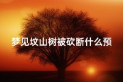 梦见坟山树被砍断什么预兆(梦见坟山树被砍断什么预兆呢)