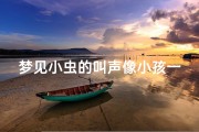 梦见小虫的叫声像小孩一样、梦见小幼虫