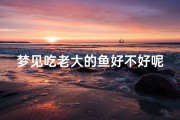 梦见吃老大的鱼好不好呢_梦见吃大老鼠是什么意思