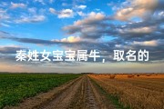 秦姓女宝宝属牛，取名的独特创意与寓意