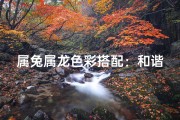 属兔属龙色彩搭配：和谐撞色新风尚